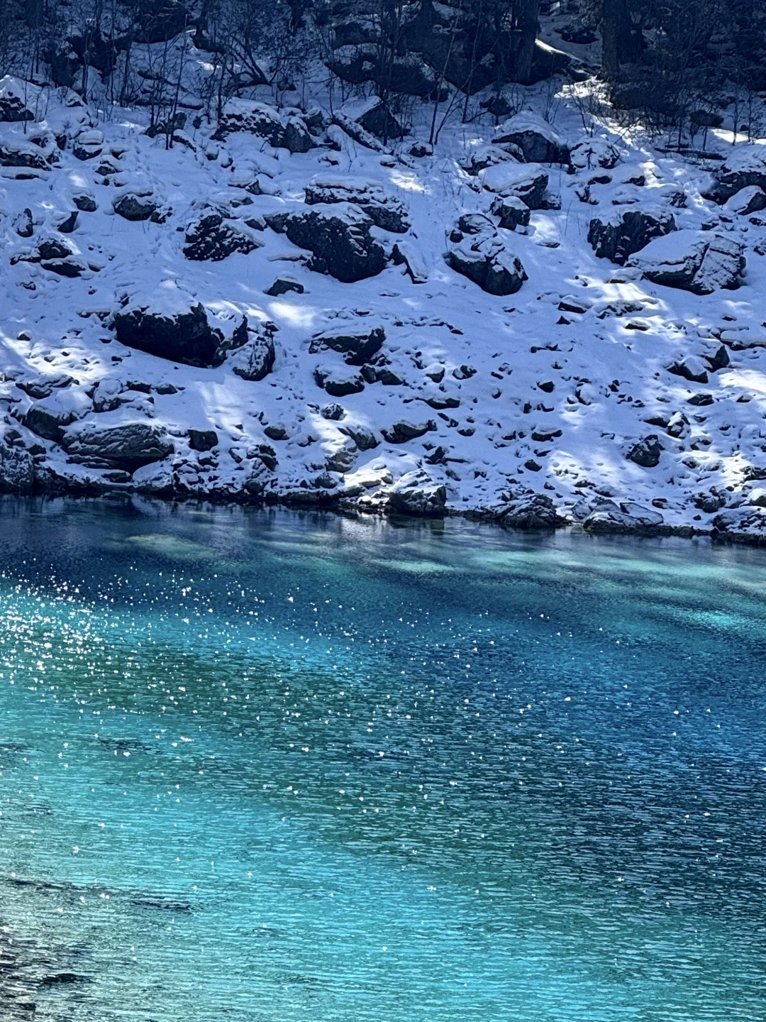 3.14📍九寨沟已回，live实况直出，劝退不了