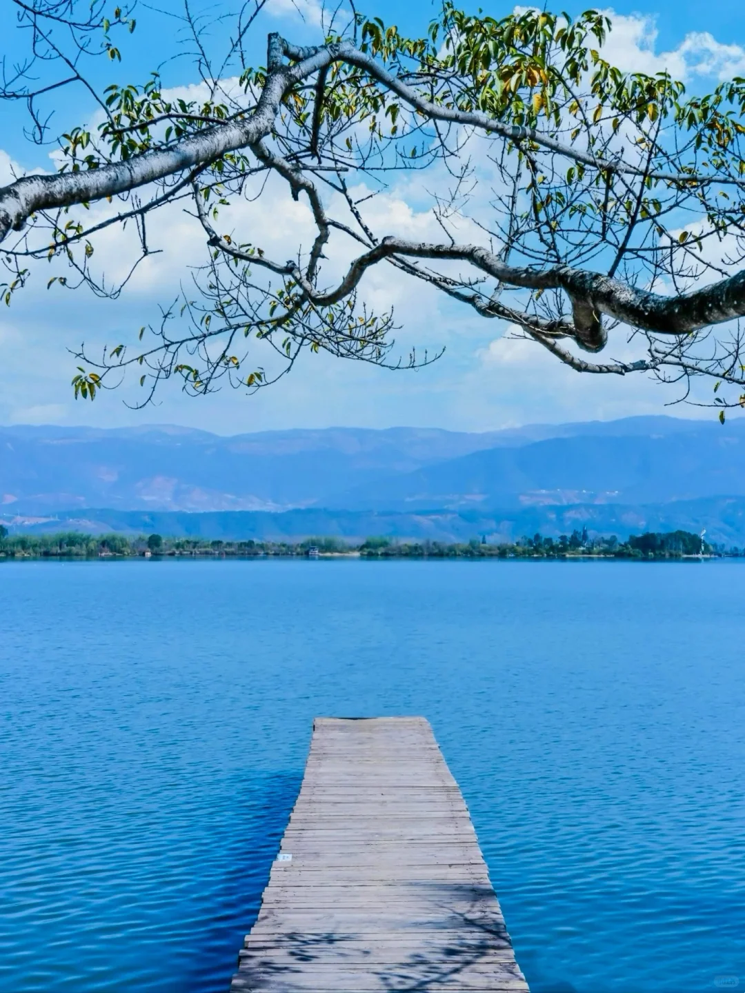 3-4月,春季必去的9️⃣个小众城市推荐