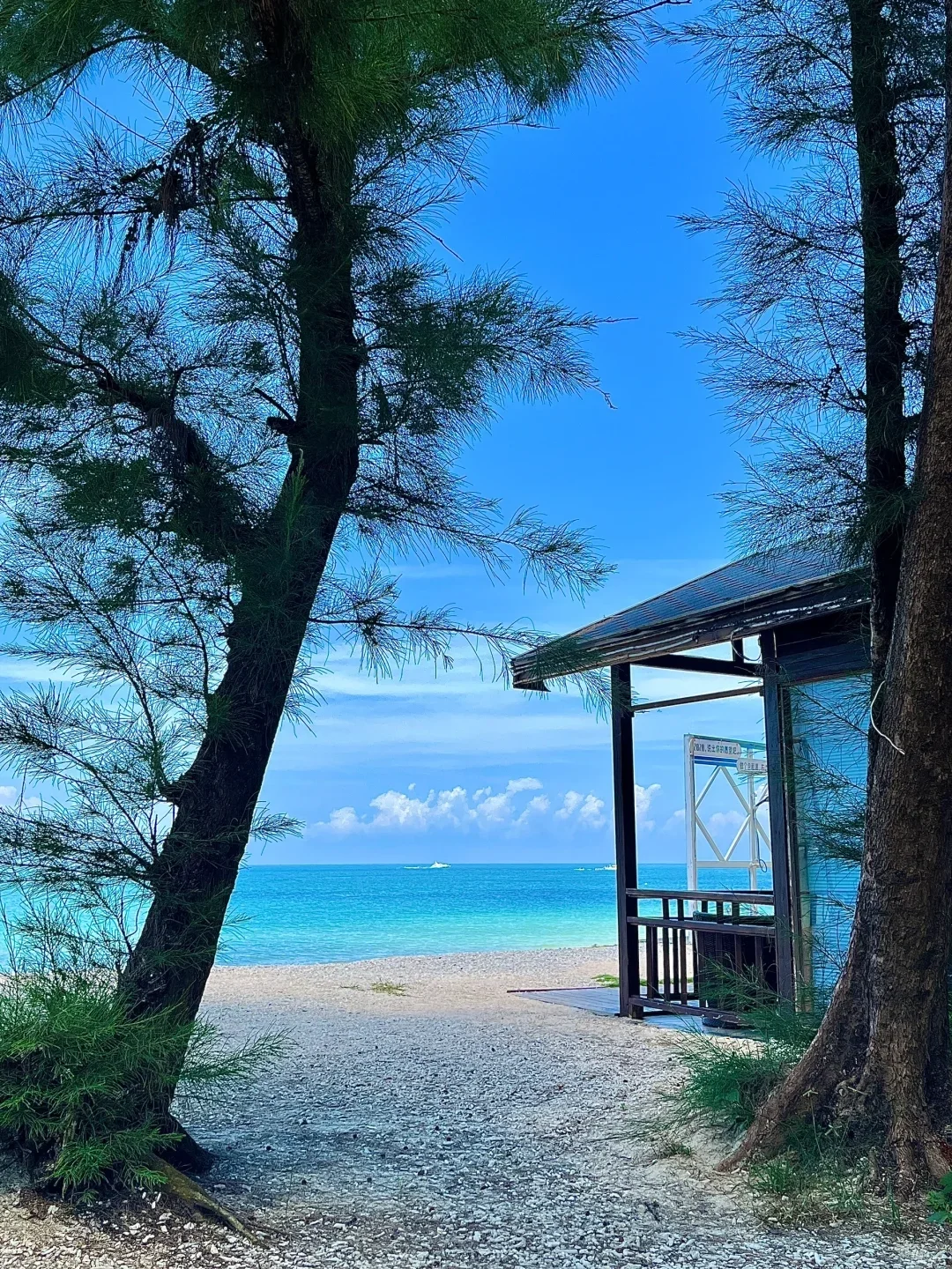 3月北海现状，真的要听劝…（上岛版）