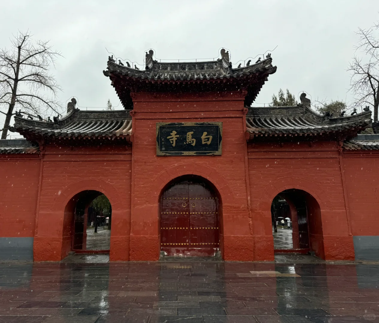 洛阳3日游：在这座韵味悠长的古城走走停停