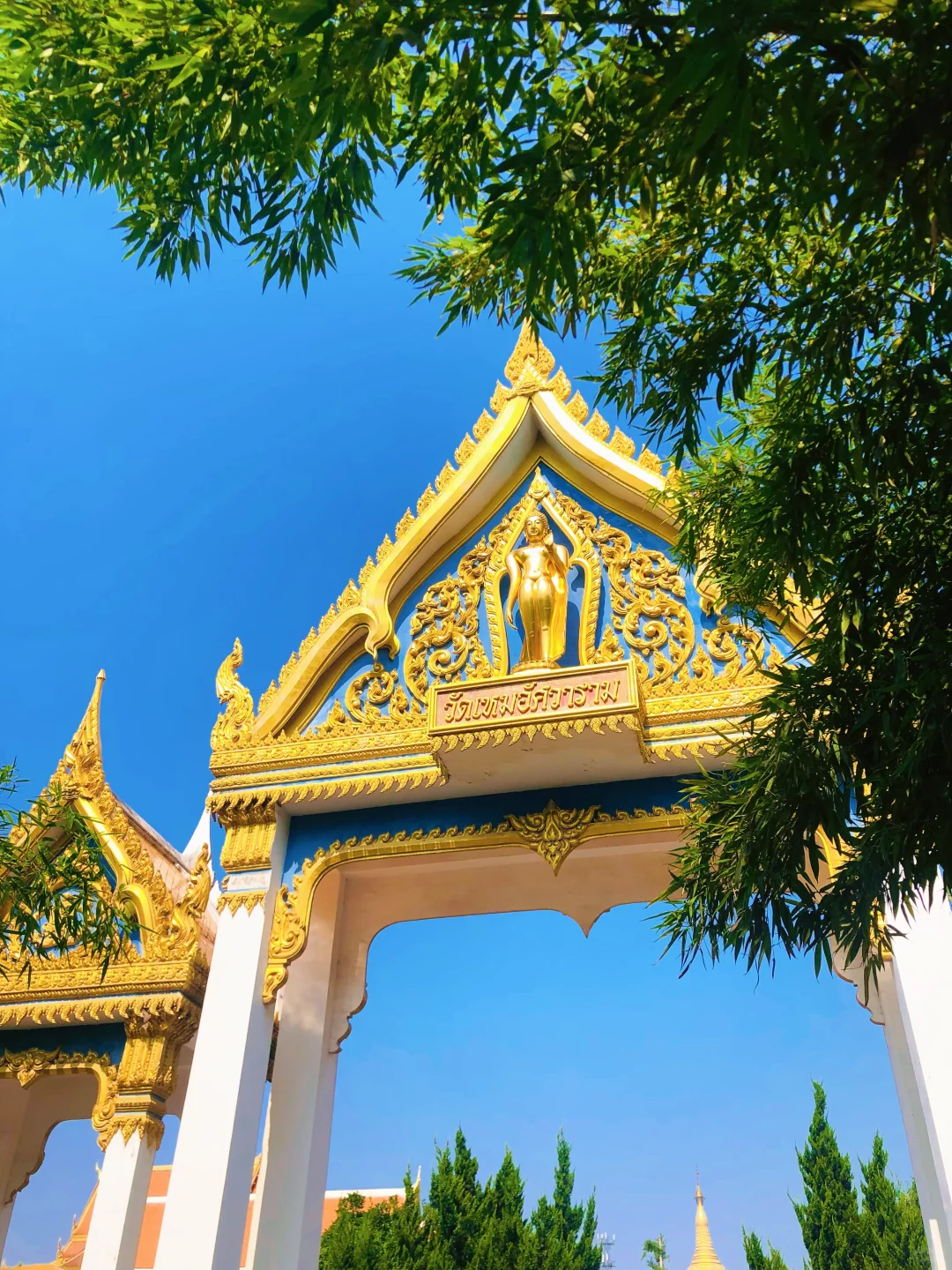 4月去洛阳旅游，我想说几句大实话