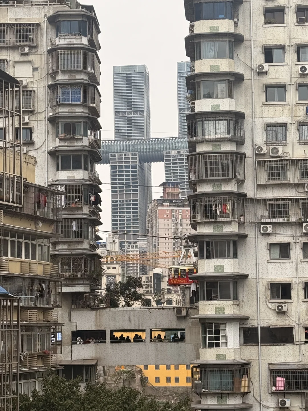 2.25📍重庆已回。。人多到崩溃😫