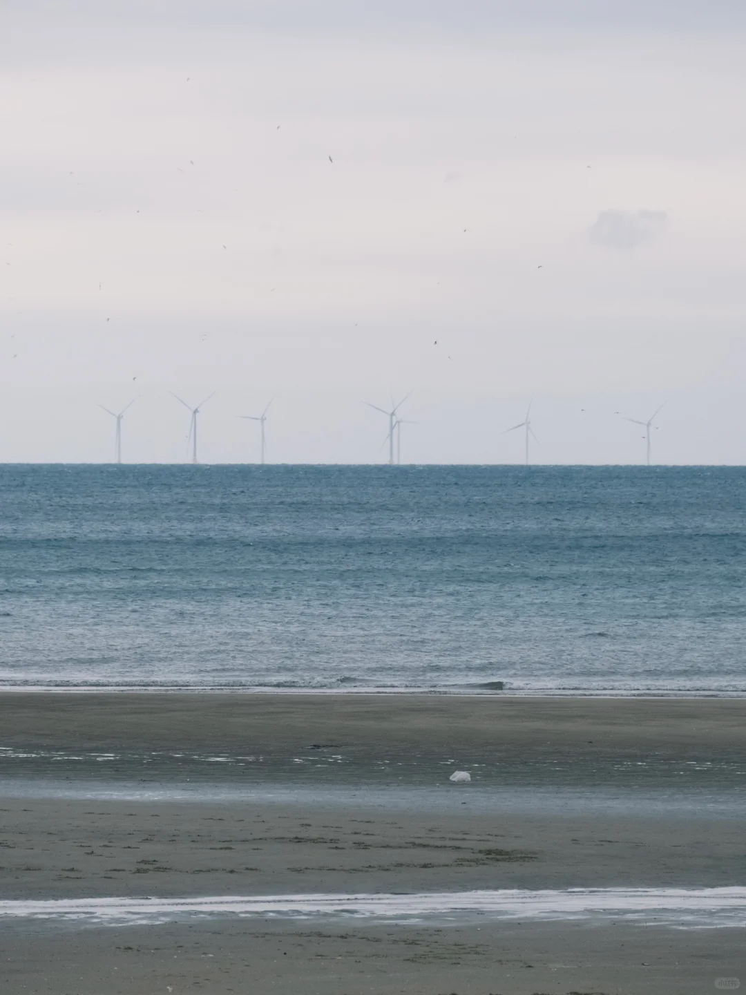 我在防城港上春山 | 半日游自驾🚙