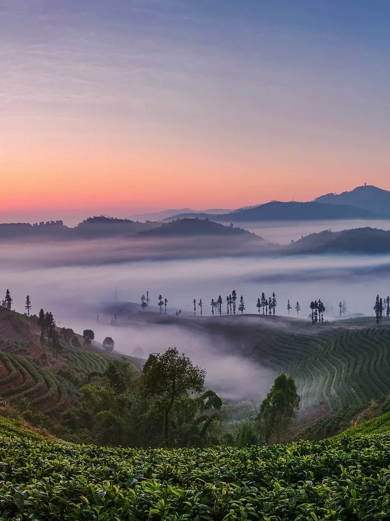 3-4月,春季必去的9️⃣个小众城市推荐