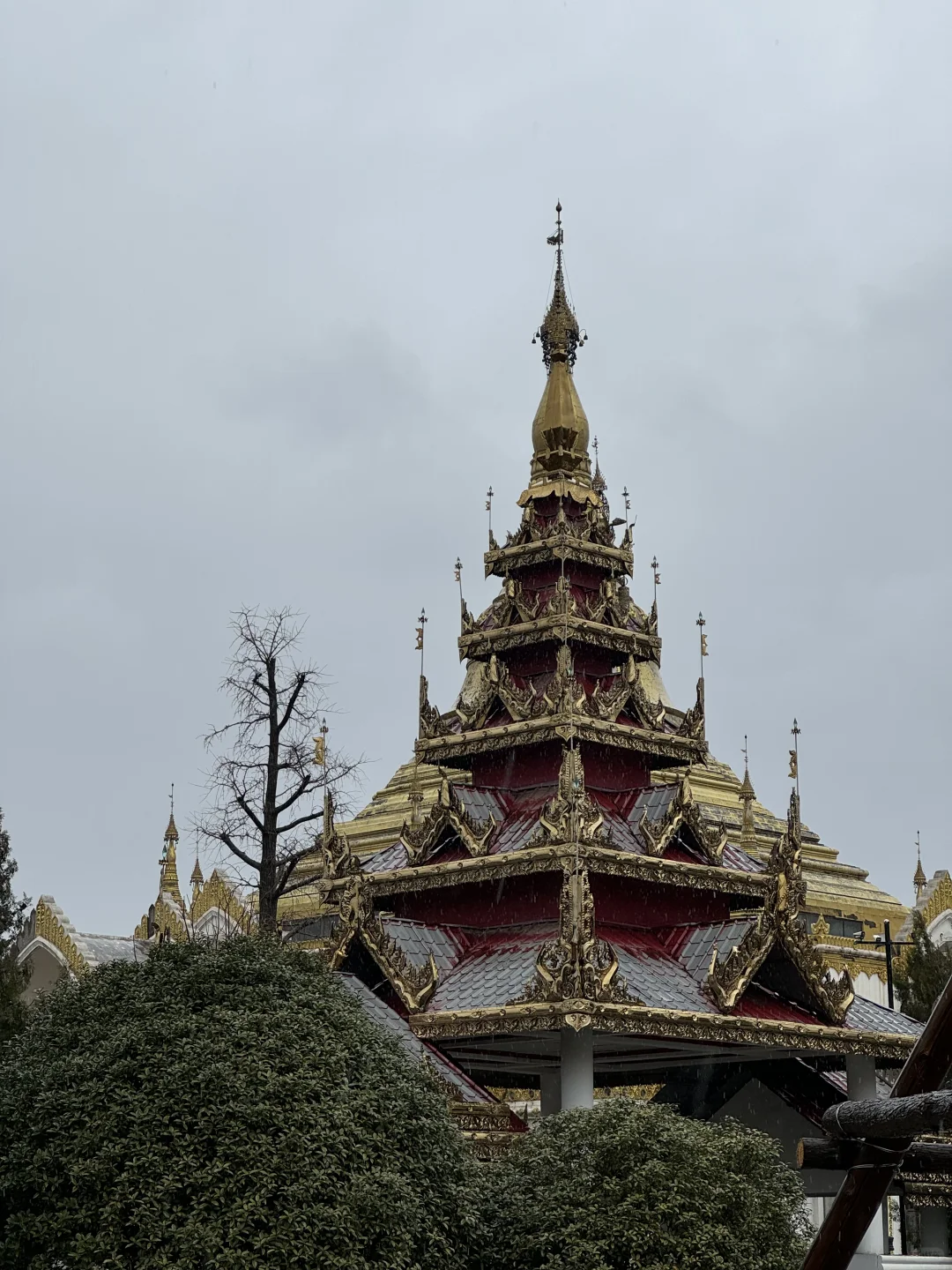 洛阳3日游：在这座韵味悠长的古城走走停停