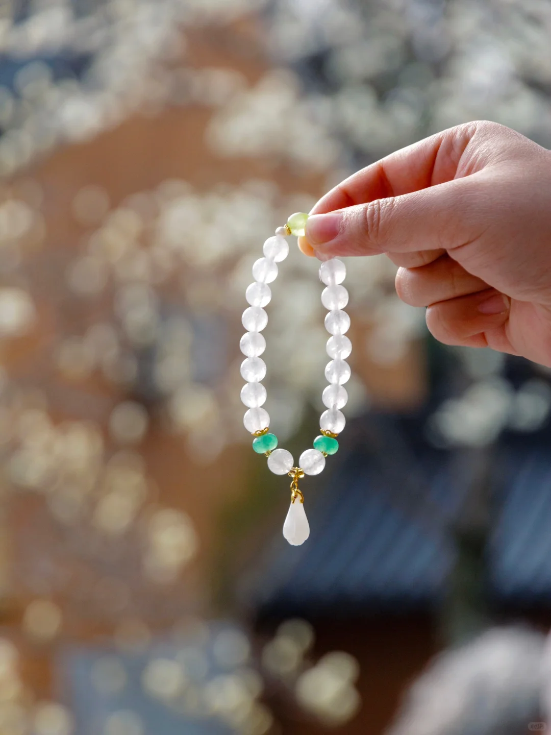 为了这一树“白玉”，去了一趟南京❗️