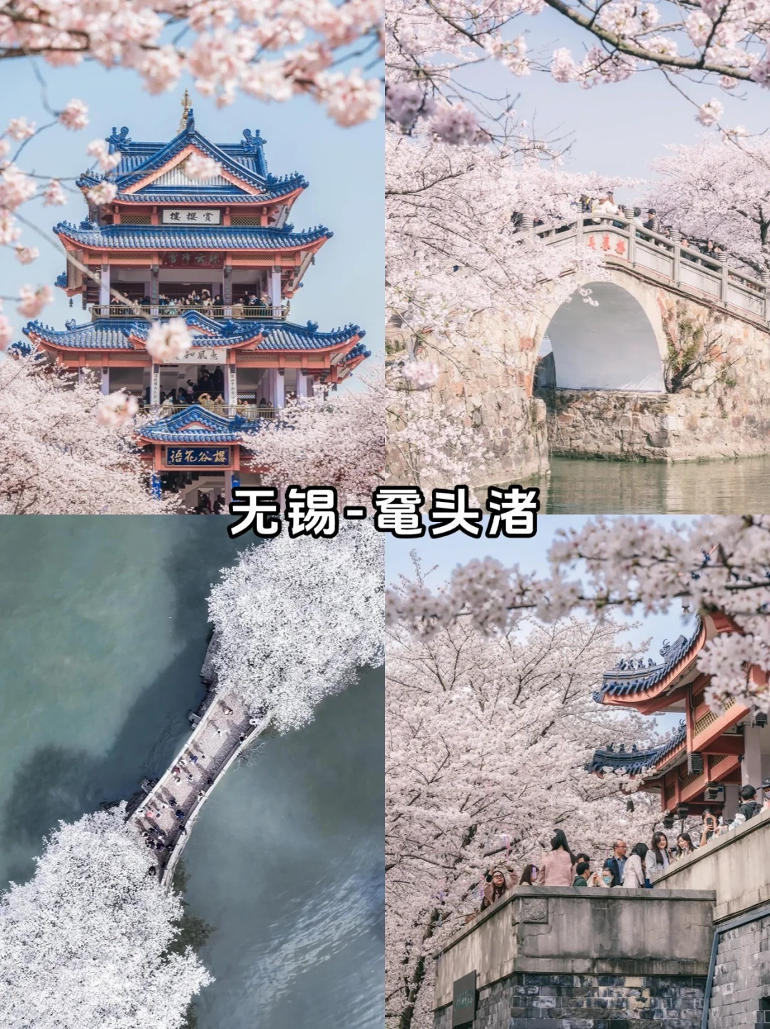 江浙沪周边游1-3天好去处｜12个目的地合集