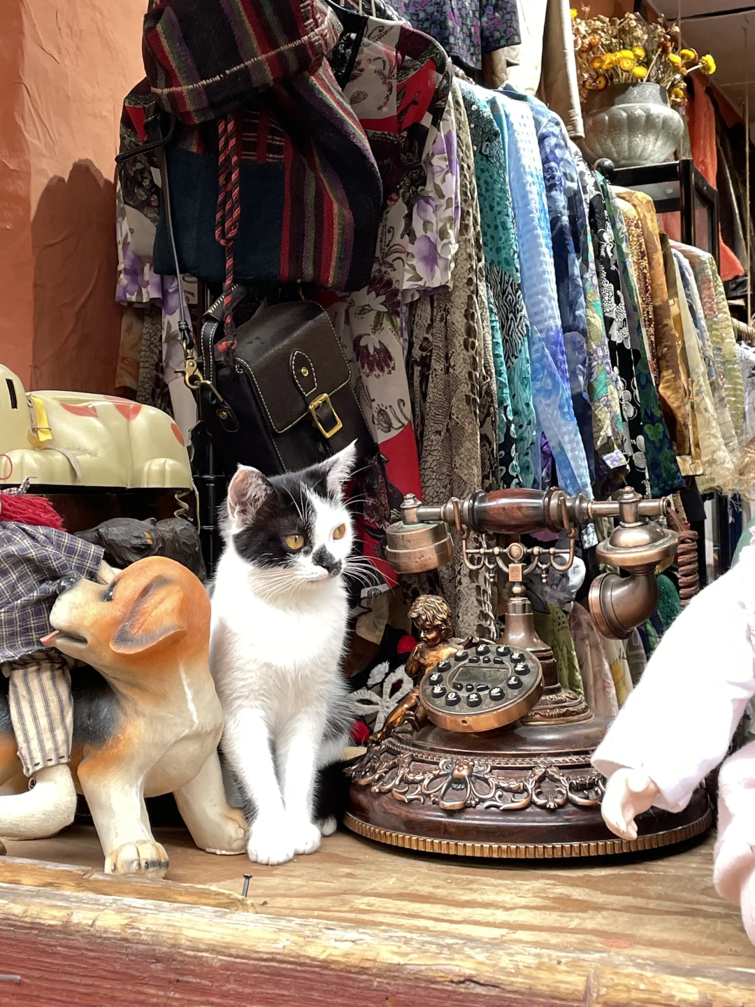 J人手写版大理攻略📖是时候给p人一些震撼😅