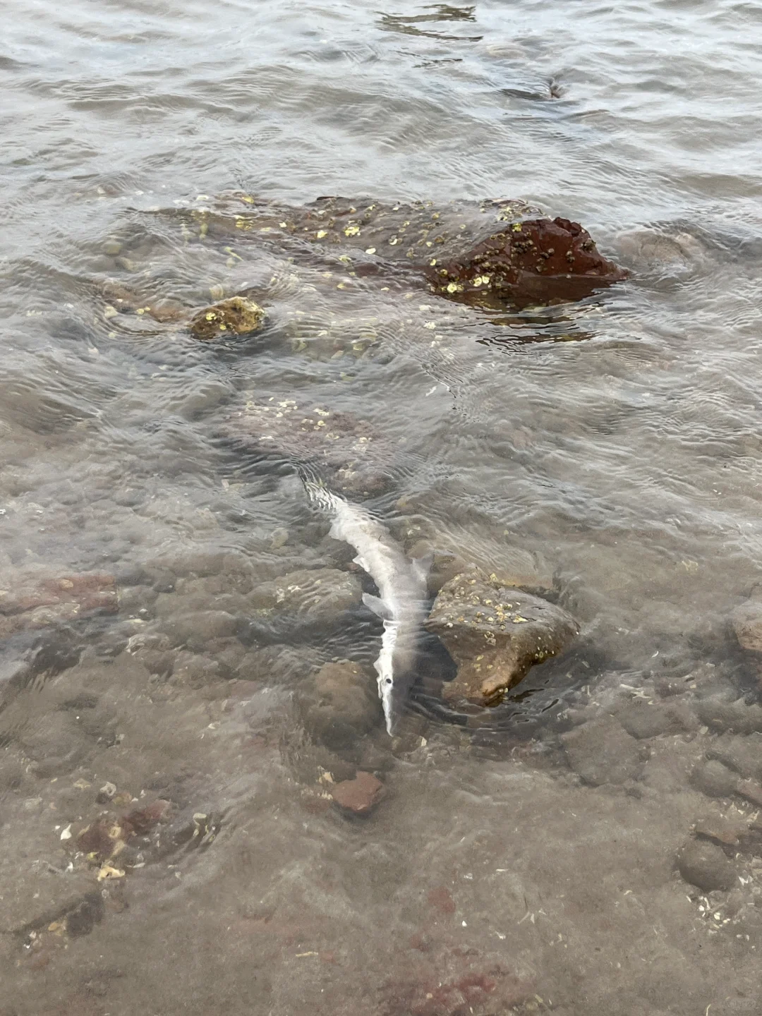 我在防城港上春山 | 半日游自驾🚙