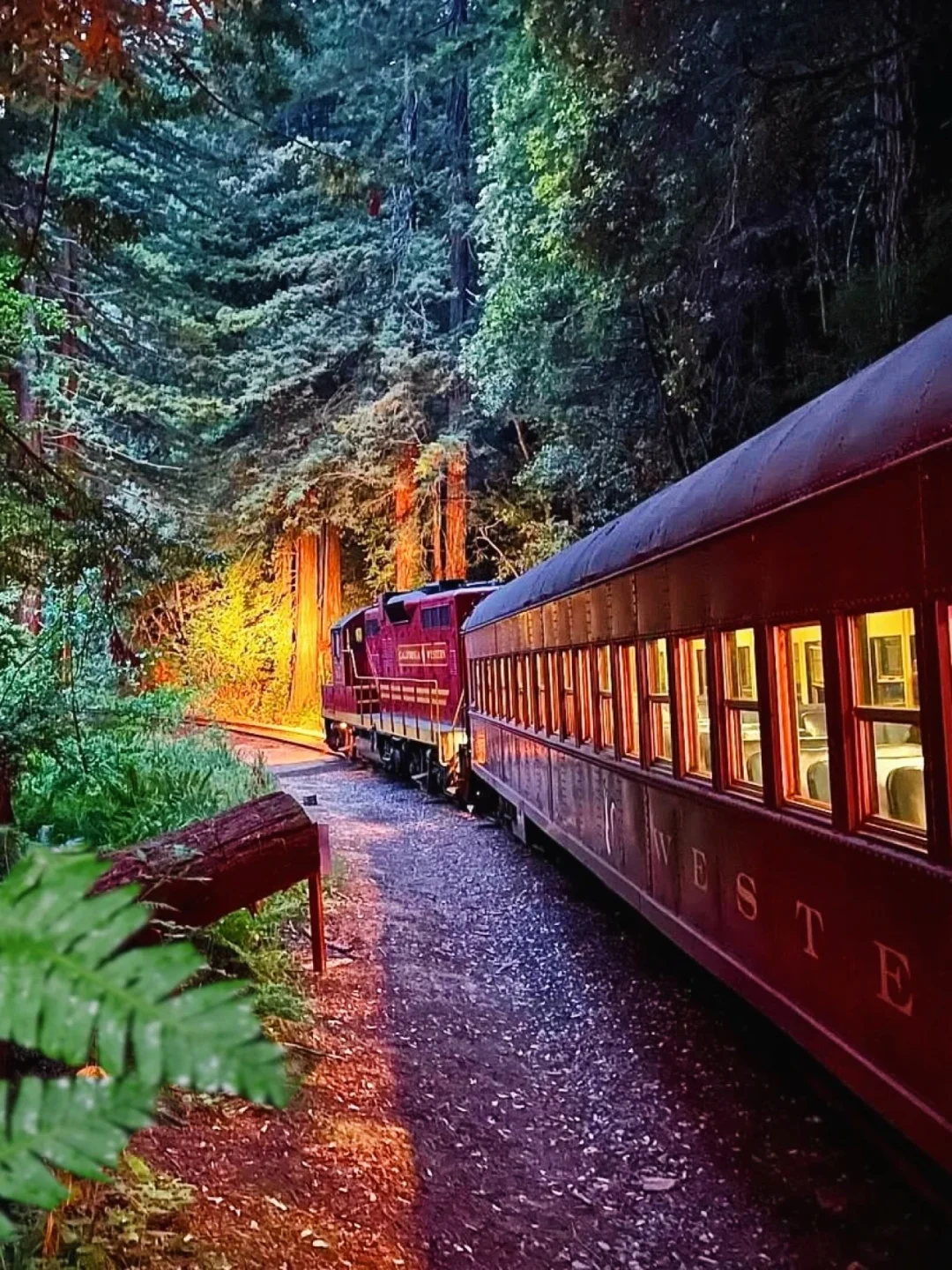 加州春日的Mendocino简直是人间理想！🌊🌸