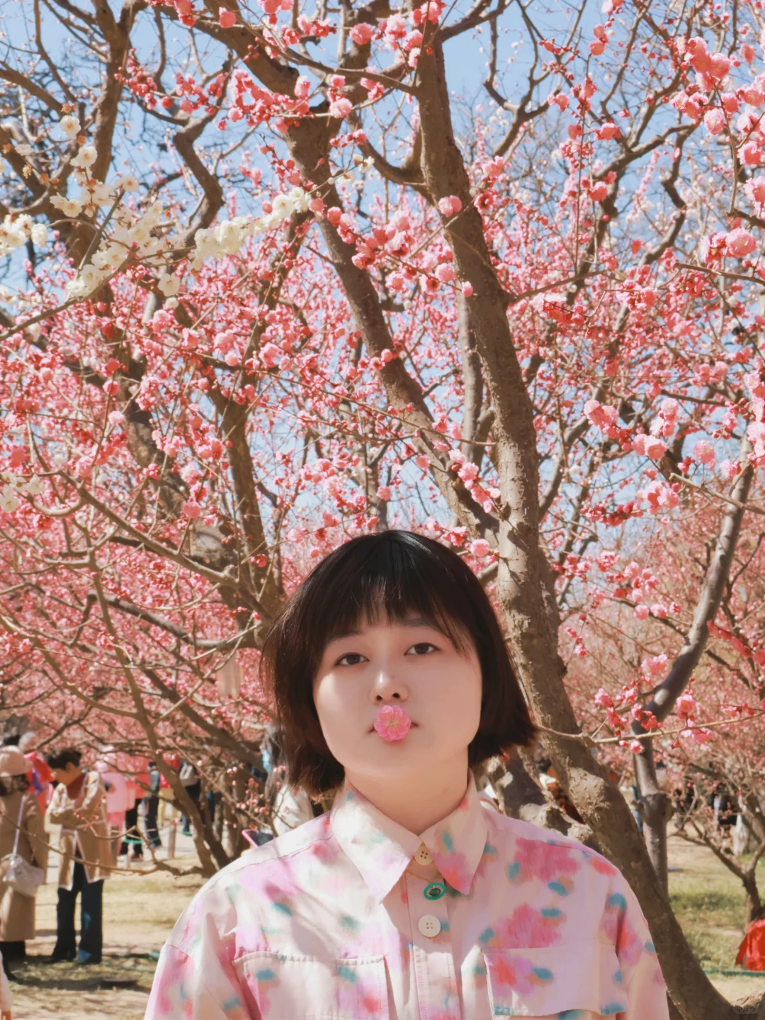 就是说北京的花已经next level了