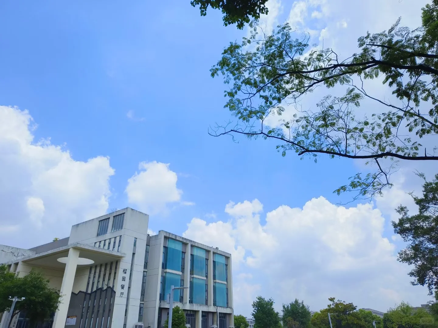 自然之美宁静的环境