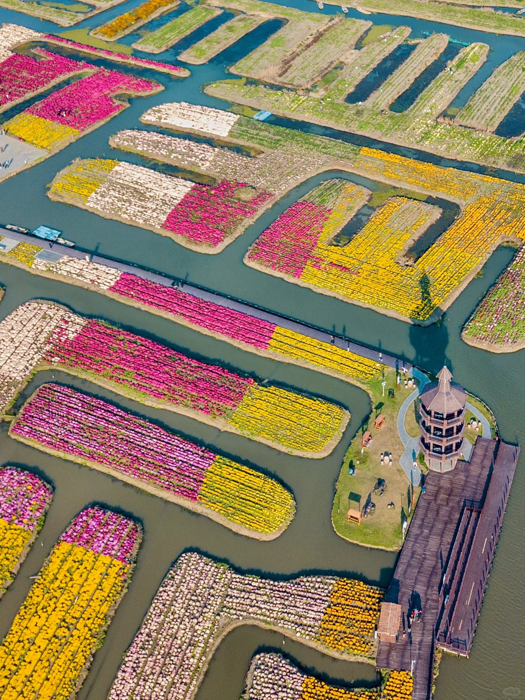 以为扬州真的已经够美了，直到我去了趟兴化