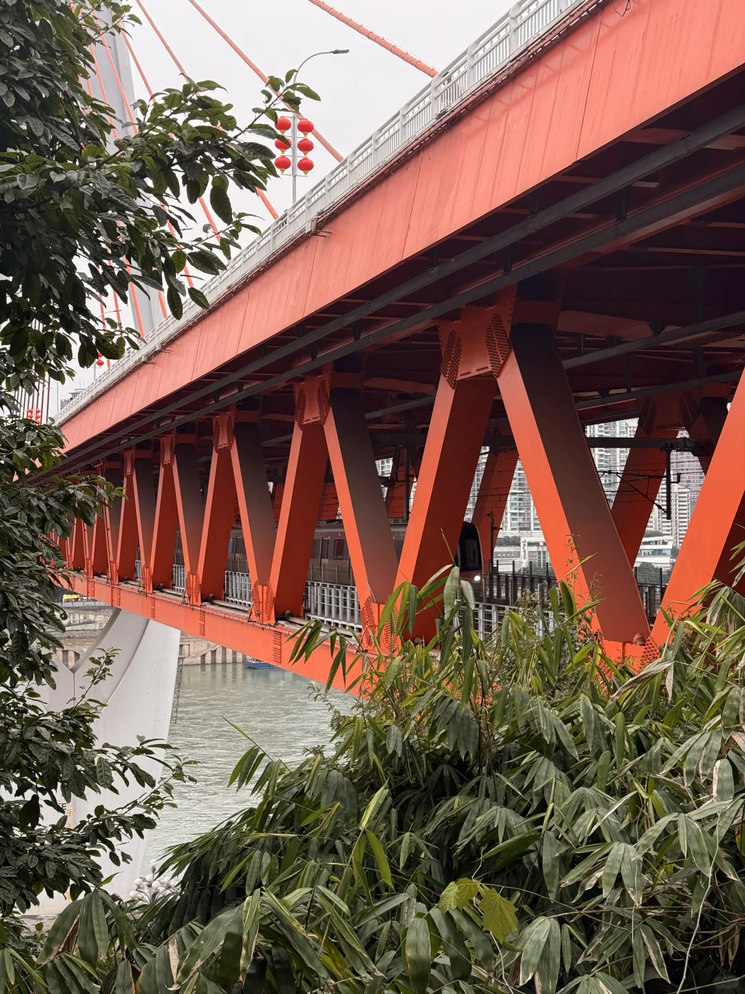 2.25📍重庆已回。。人多到崩溃😫