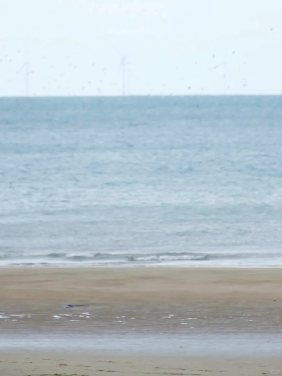 我在防城港上春山 | 半日游自驾🚙