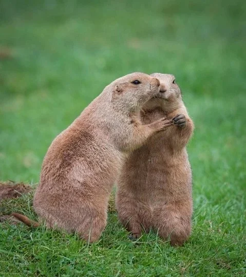 被甘加秘境狠狠拿捏了!西北小众宝藏地