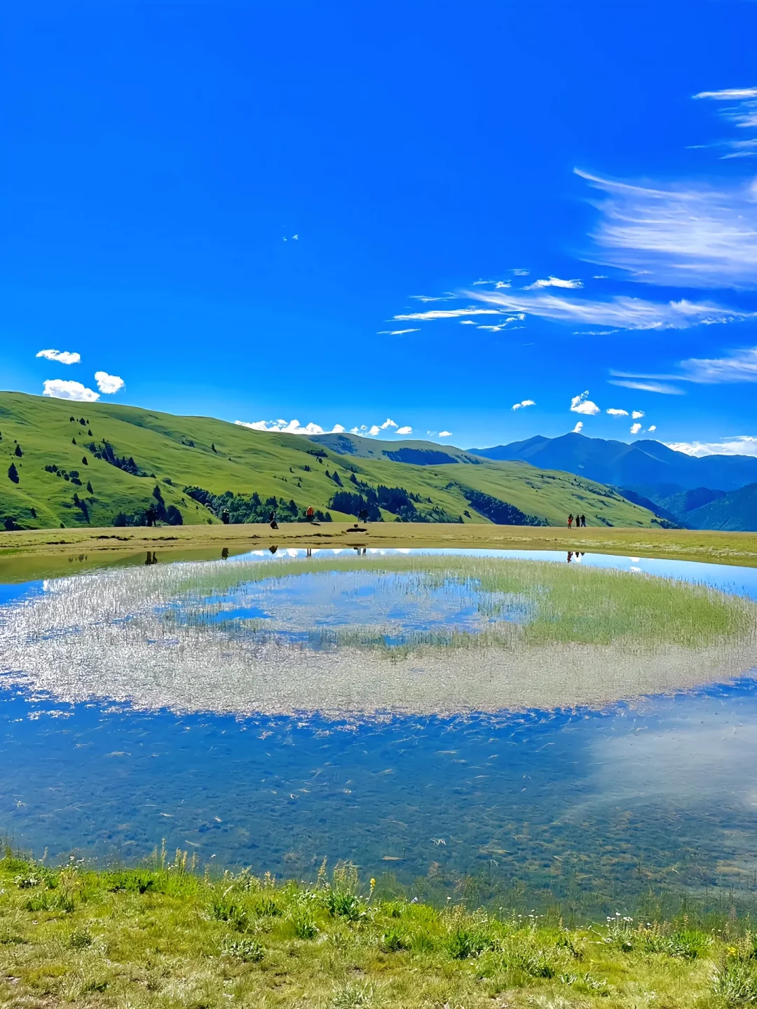 夏天的川西直接封神！！！