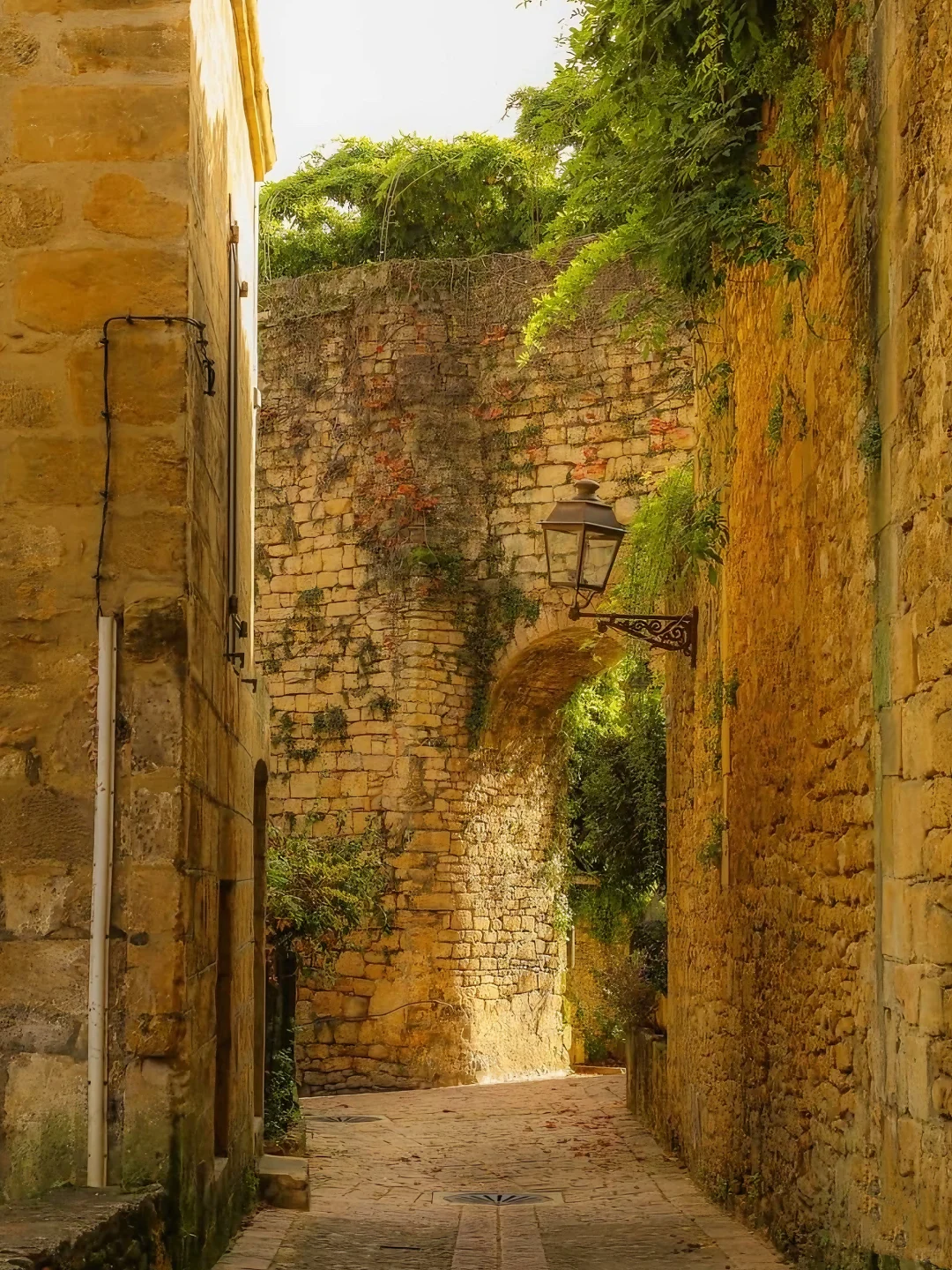 💐以为南法够美了 直到来到了Sarlat小镇…