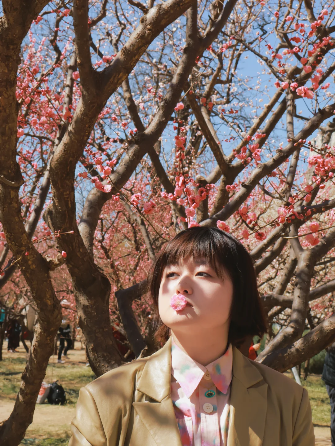 就是说北京的花已经next level了