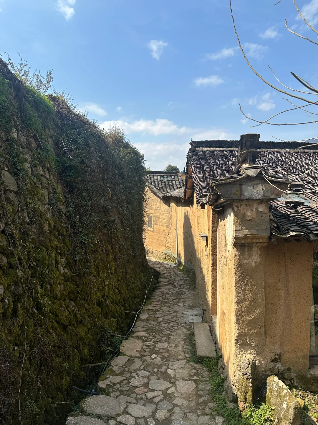 三月松阳,人间仙境