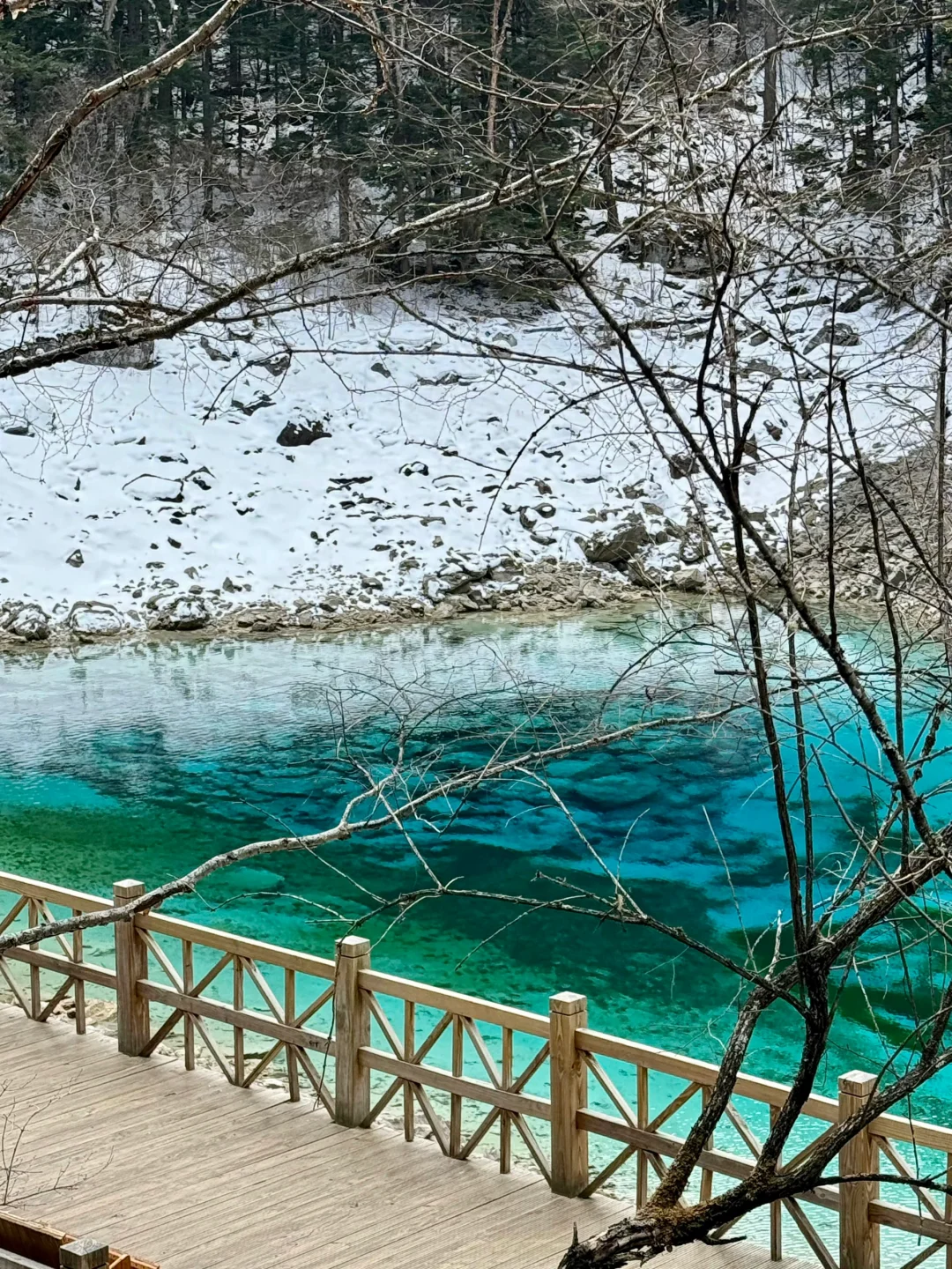 3.14📍九寨沟已回，live实况直出，劝退不了