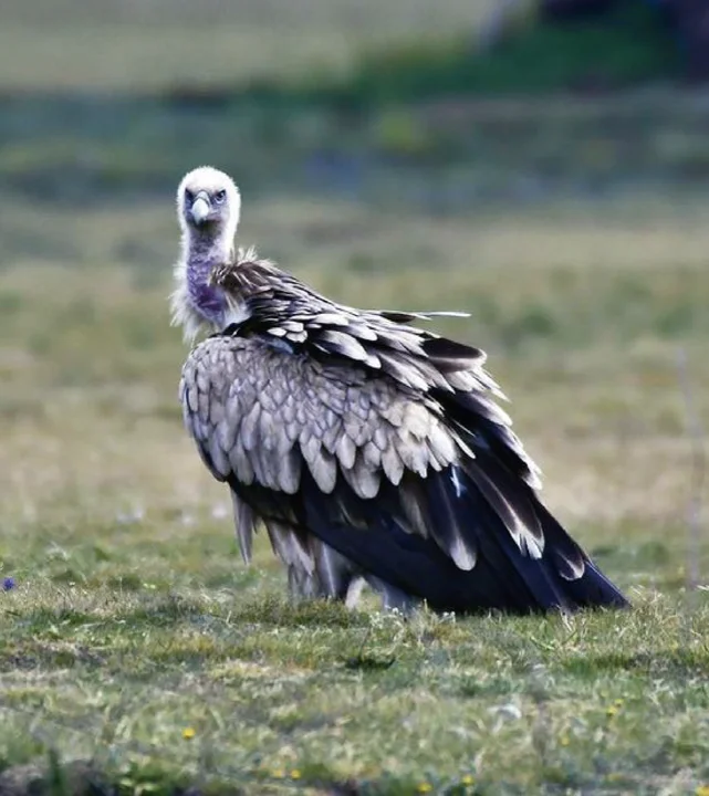 被甘加秘境狠狠拿捏了!西北小众宝藏地