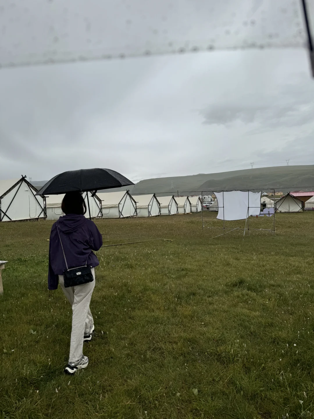 独享一片绿☔️