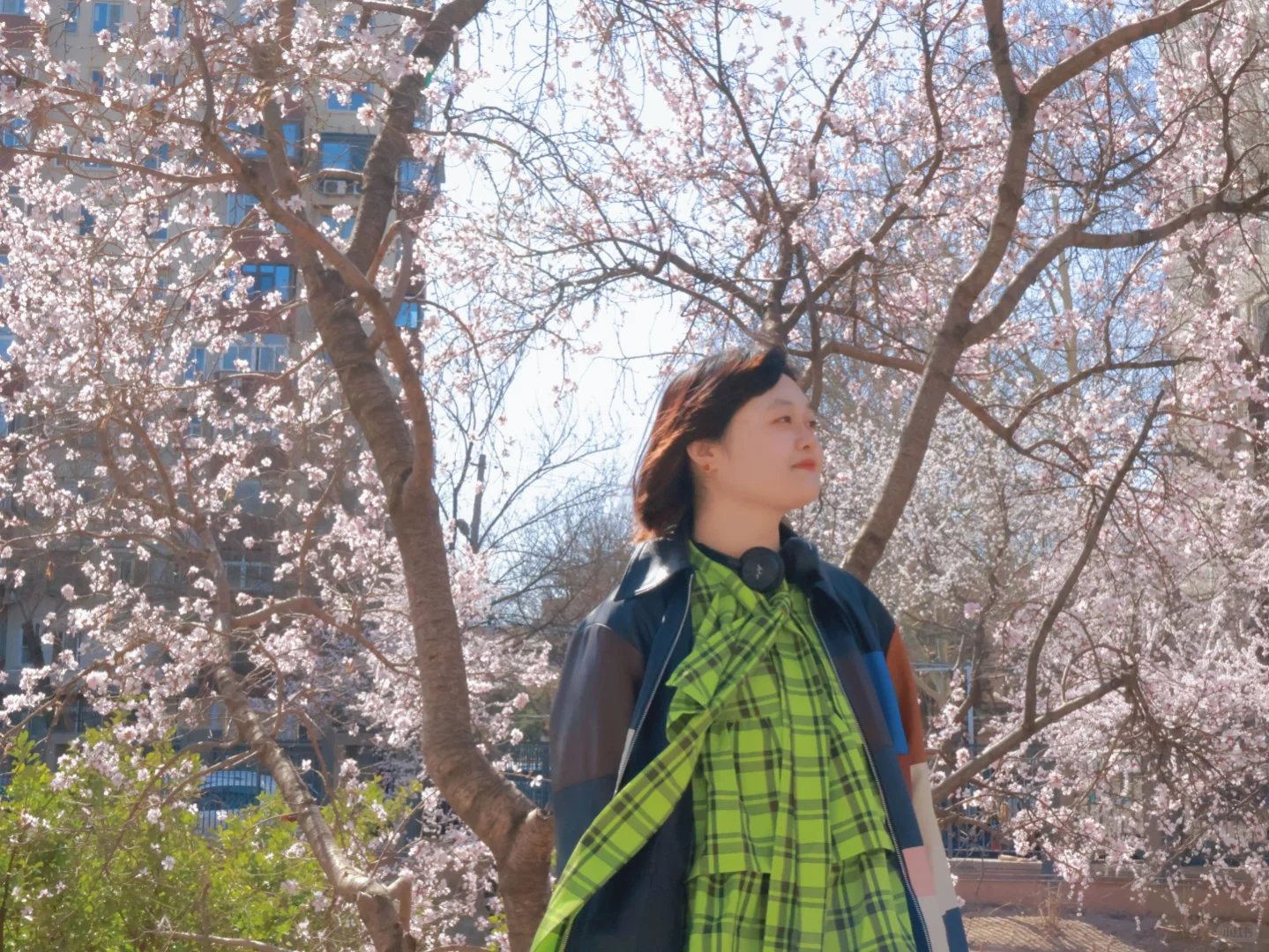 就是说北京的花已经next level了