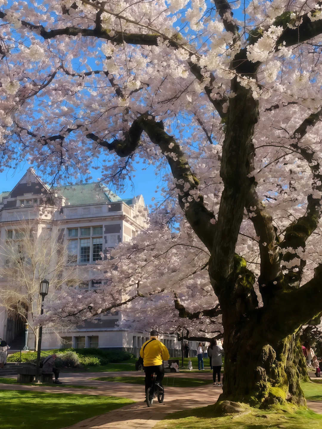 西雅图是我去一万次，就会爱上一万次的城市