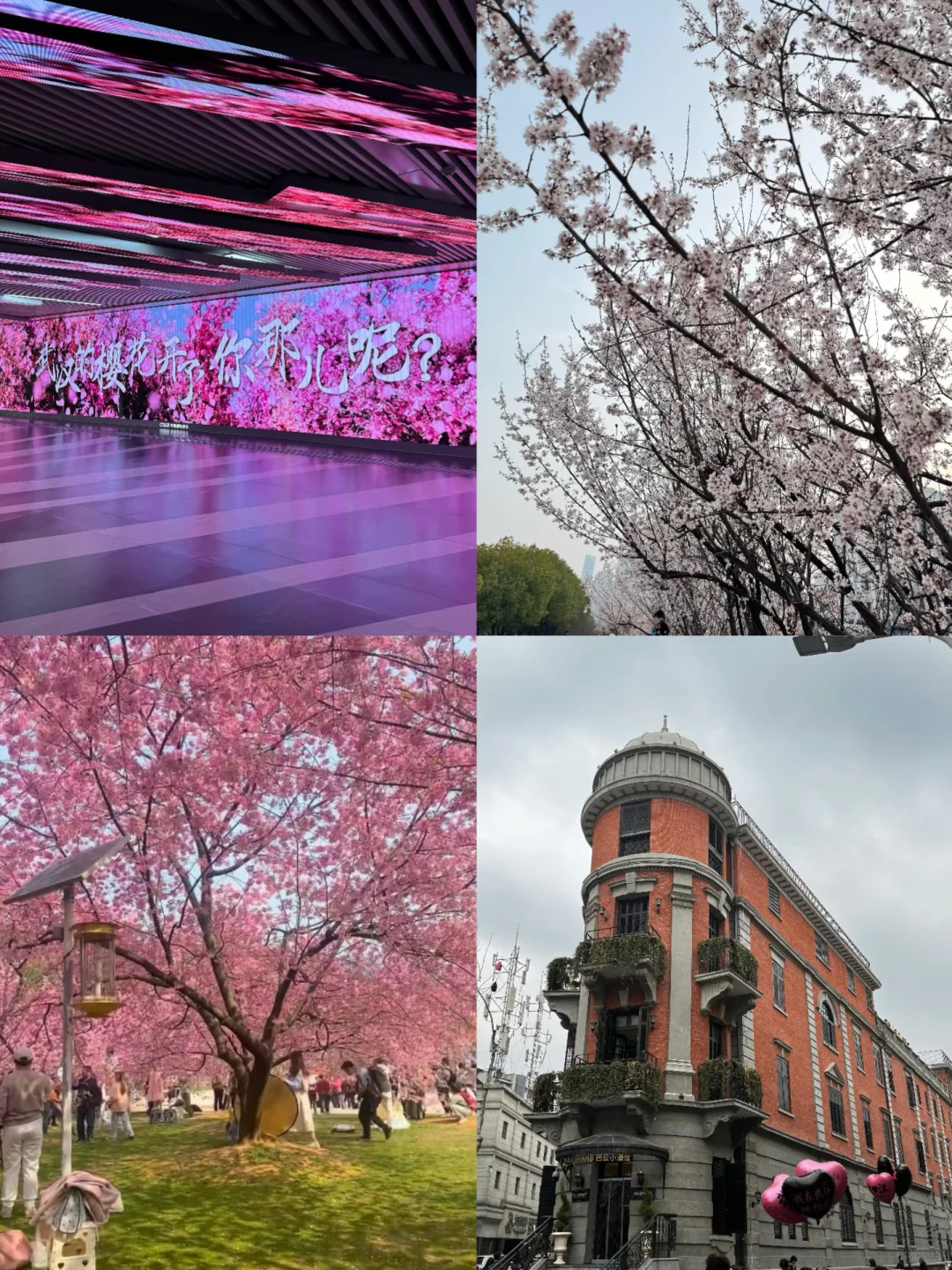 准备去武汉前！听点本地人的大实话吧！