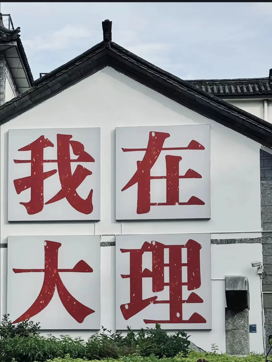 🌸 3月旅行必去！大理春日限定！