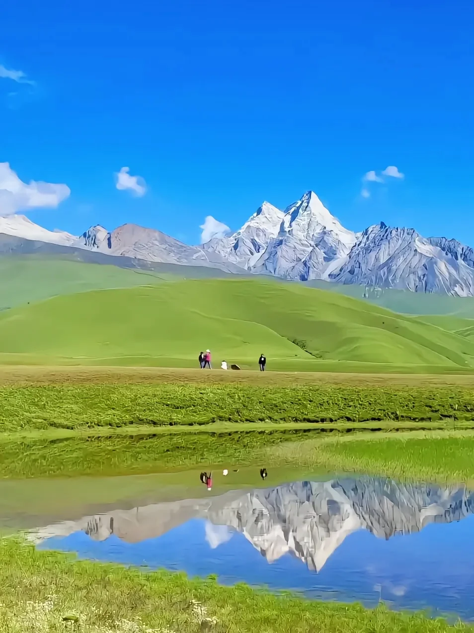 夏天的川西直接封神！！！