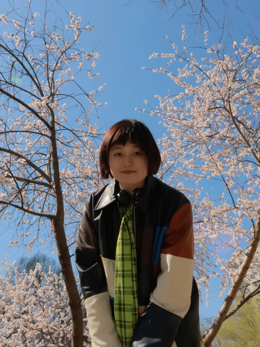 就是说北京的花已经next level了