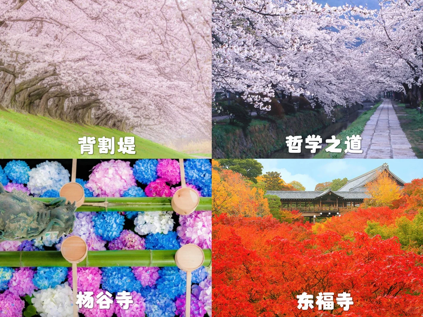 相识京都十年，我总结出了这张线路景点地图