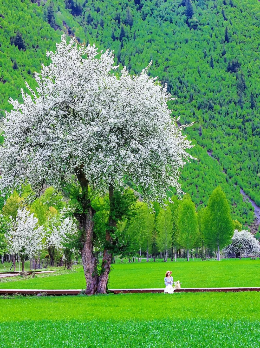 夏天的川西直接封神！！！