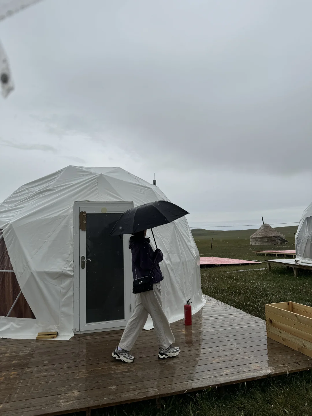 独享一片绿☔️