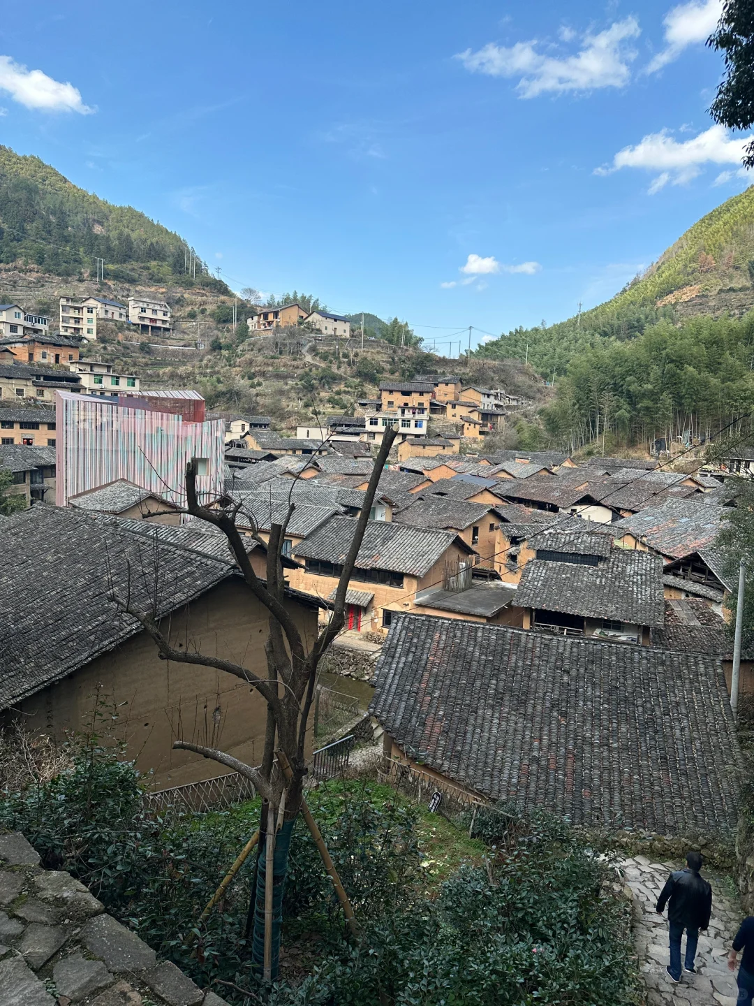 三月松阳,人间仙境