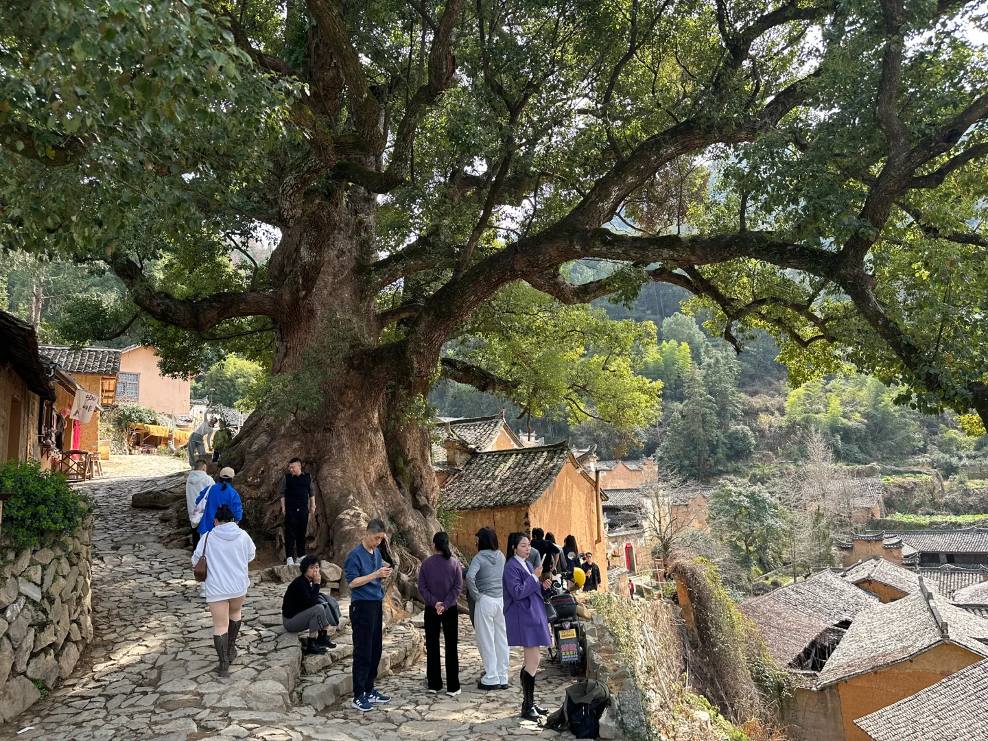 三月松阳,人间仙境