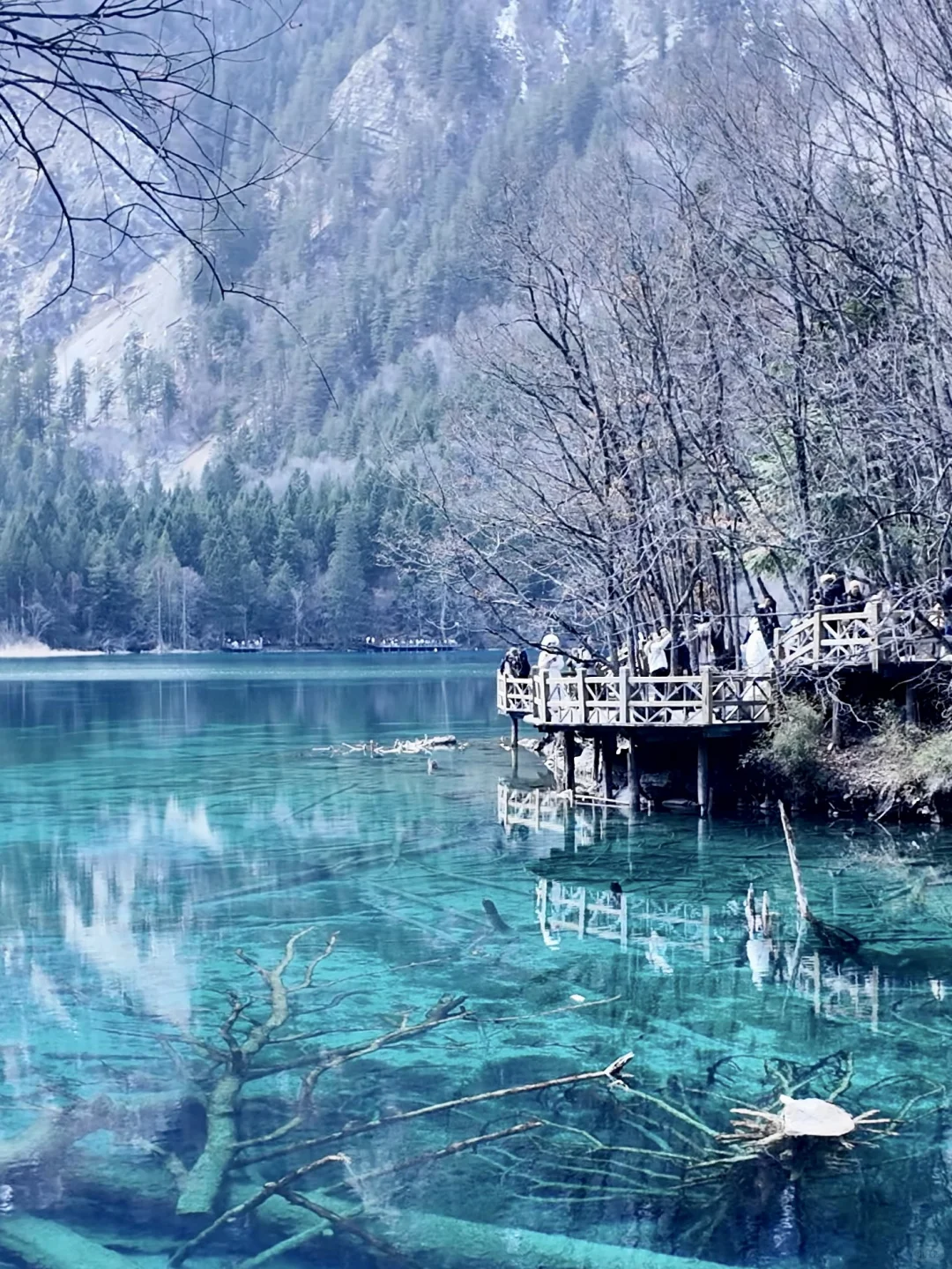 3.14📍九寨沟已回，live实况直出，劝退不了