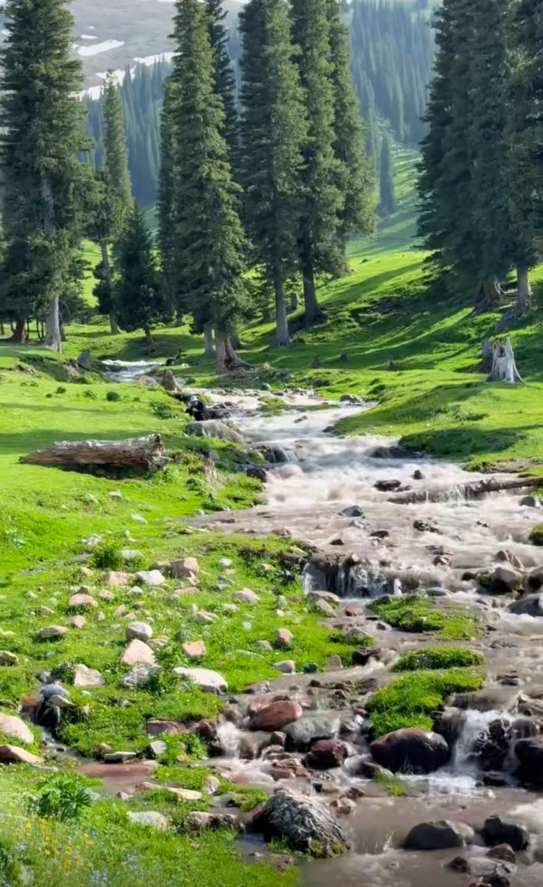 新疆北疆旅游攻略