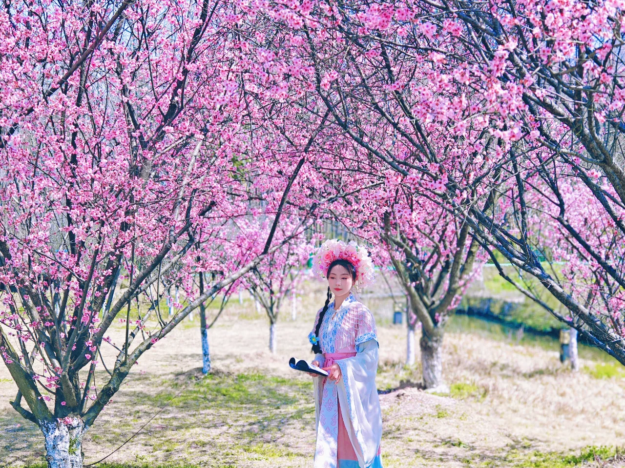 美景VS美人，你更中意谁？