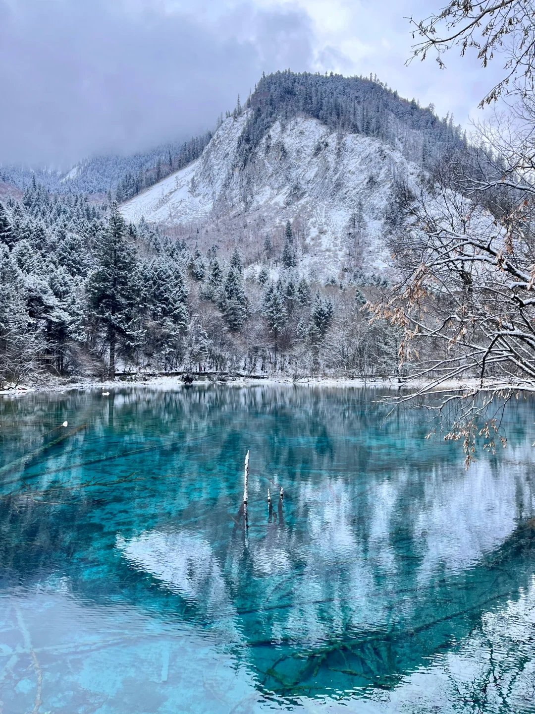 3.14📍九寨沟已回，live实况直出，劝退不了