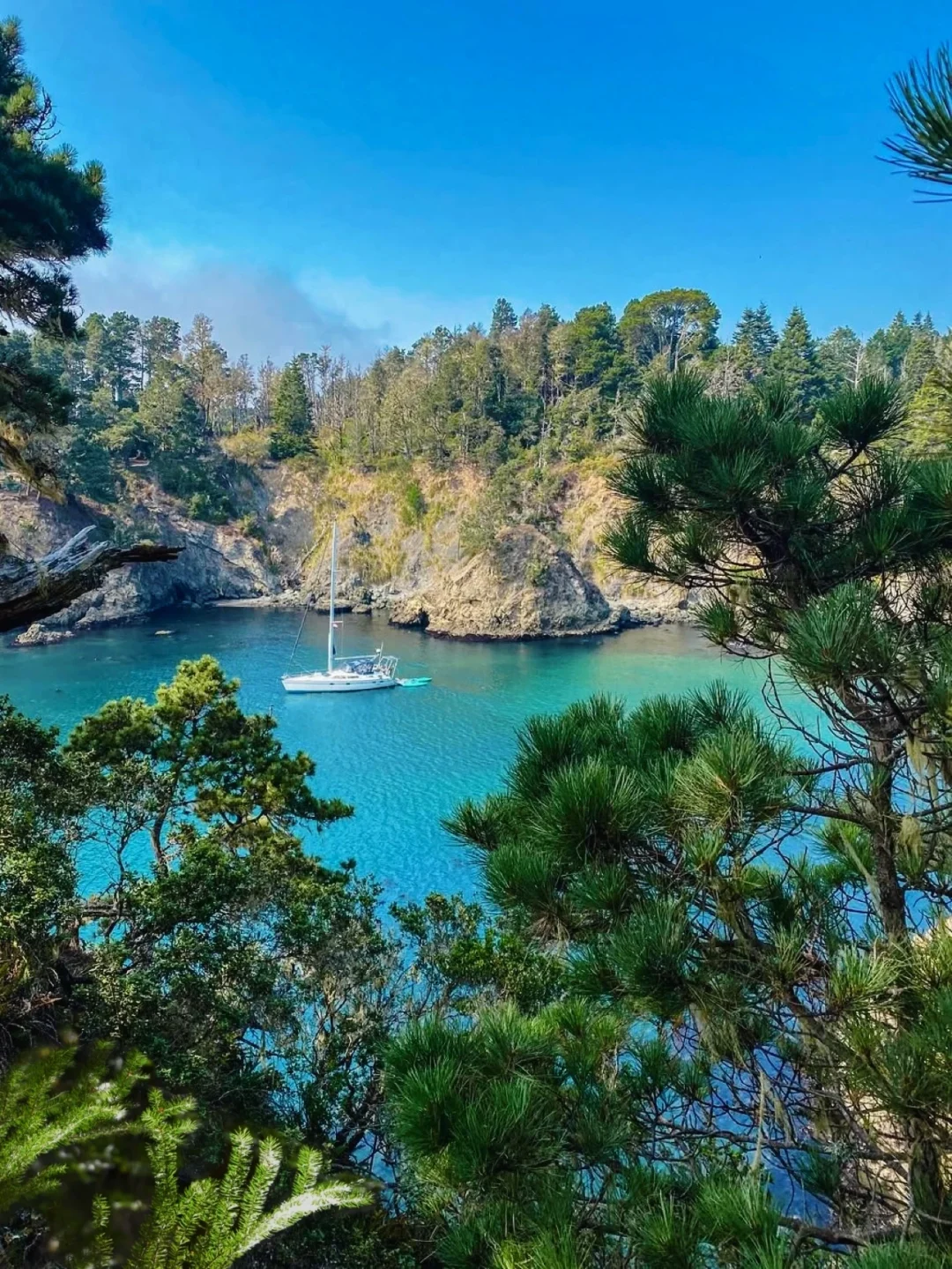 加州春日的Mendocino简直是人间理想！🌊🌸