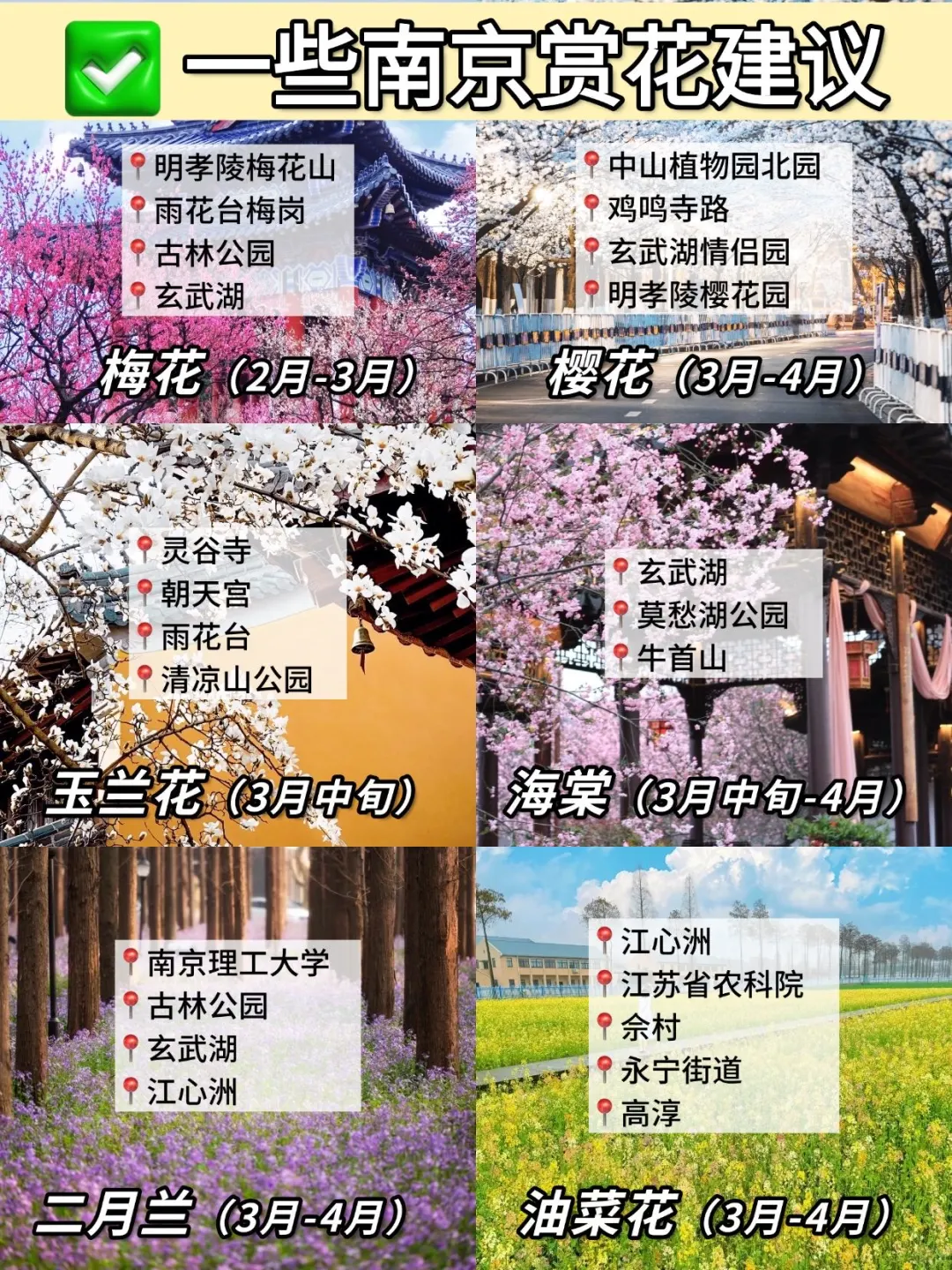南京📍3.17实拍……带错衣服🥶崩溃了
