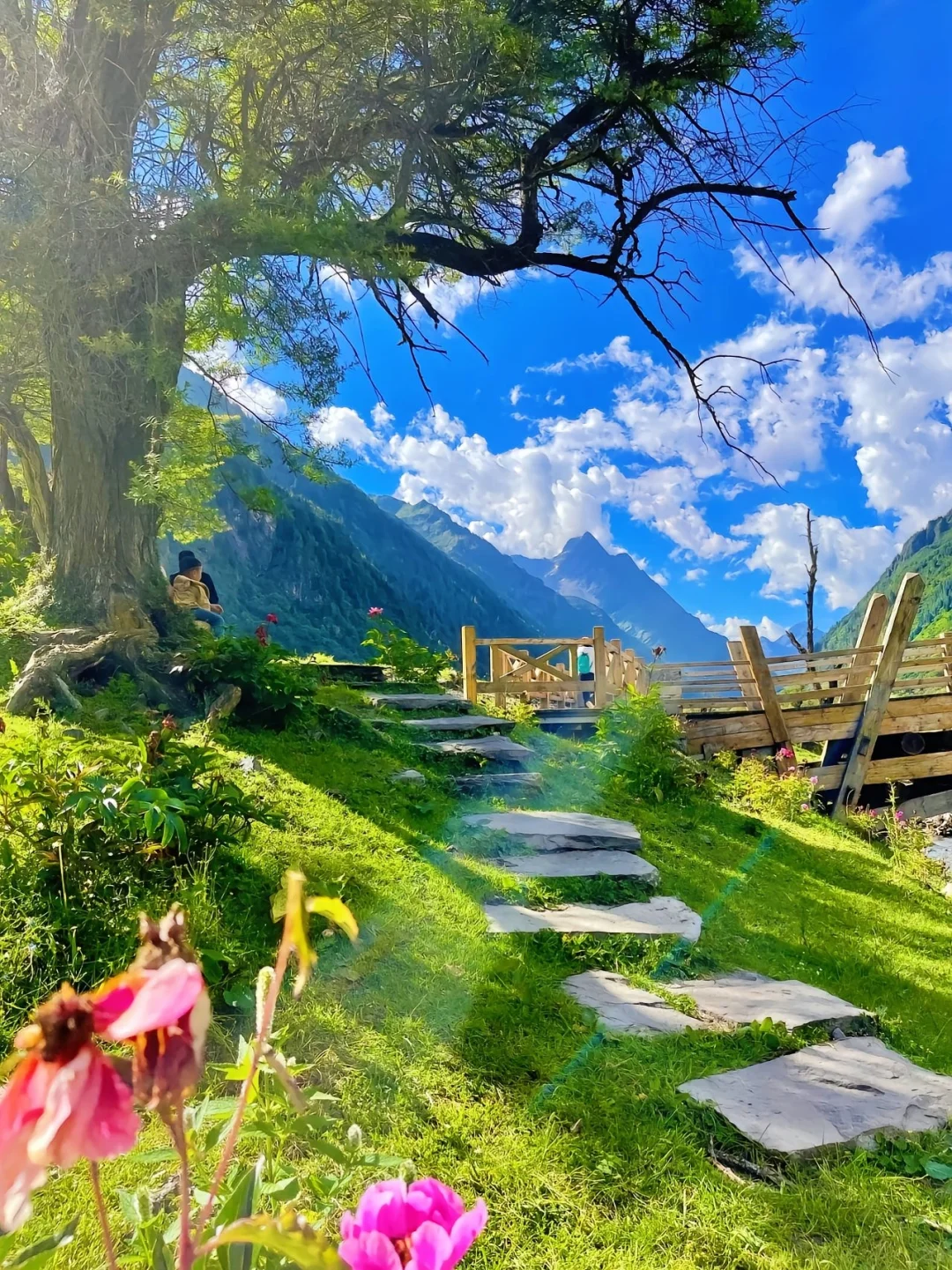 夏天的川西直接封神！！！