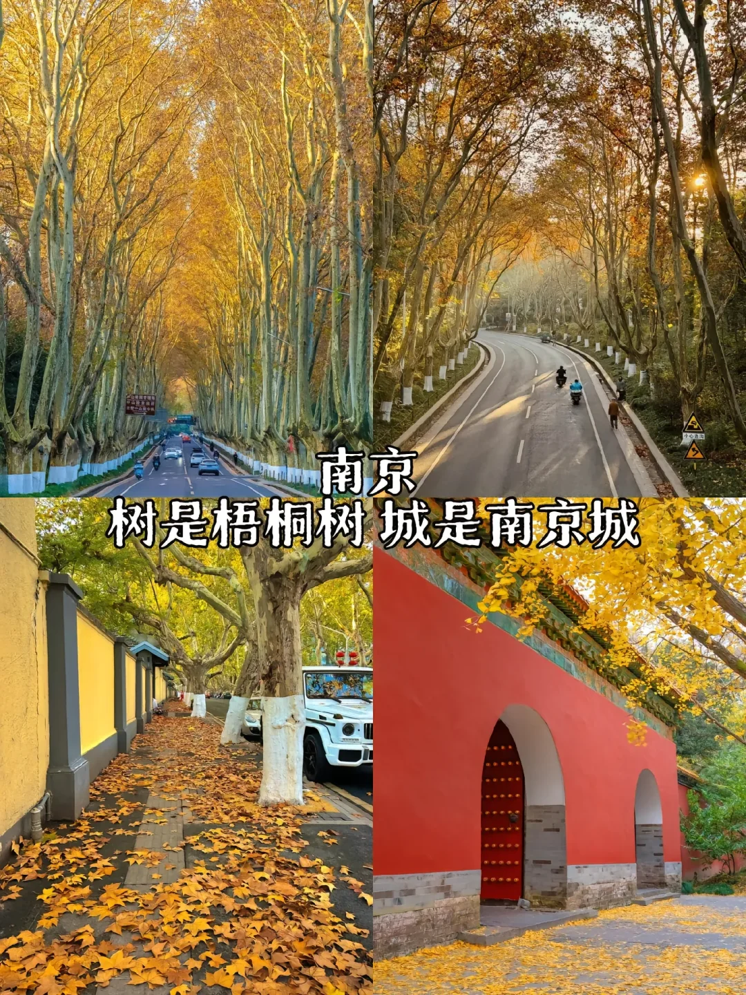 适宜两个人旅行的城市