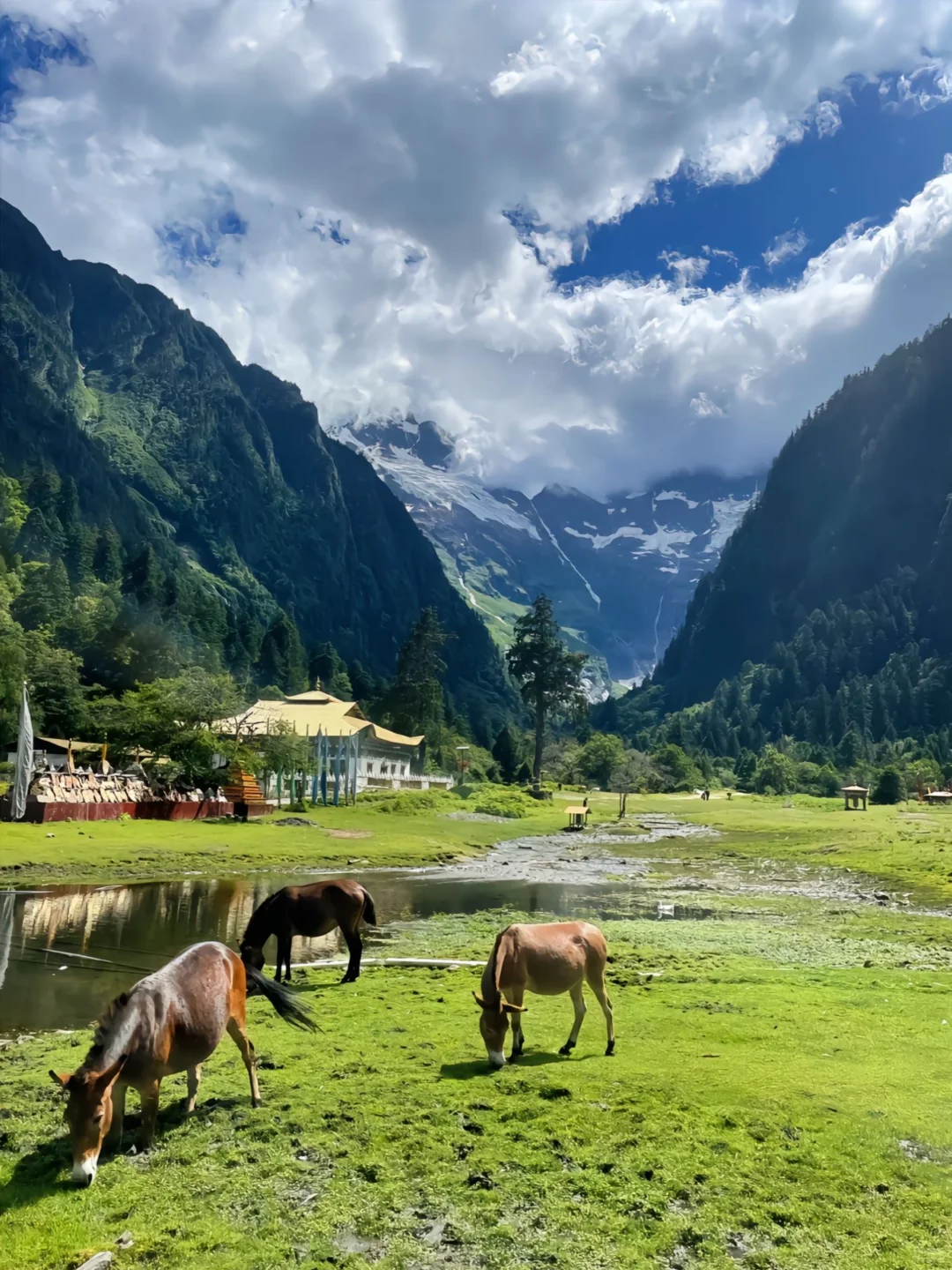 雨崩已回，这里真的只有零次和无数次