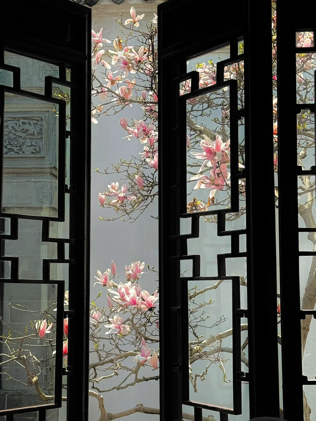 接下来的苏州❗️堪称国内春日旅行天花板