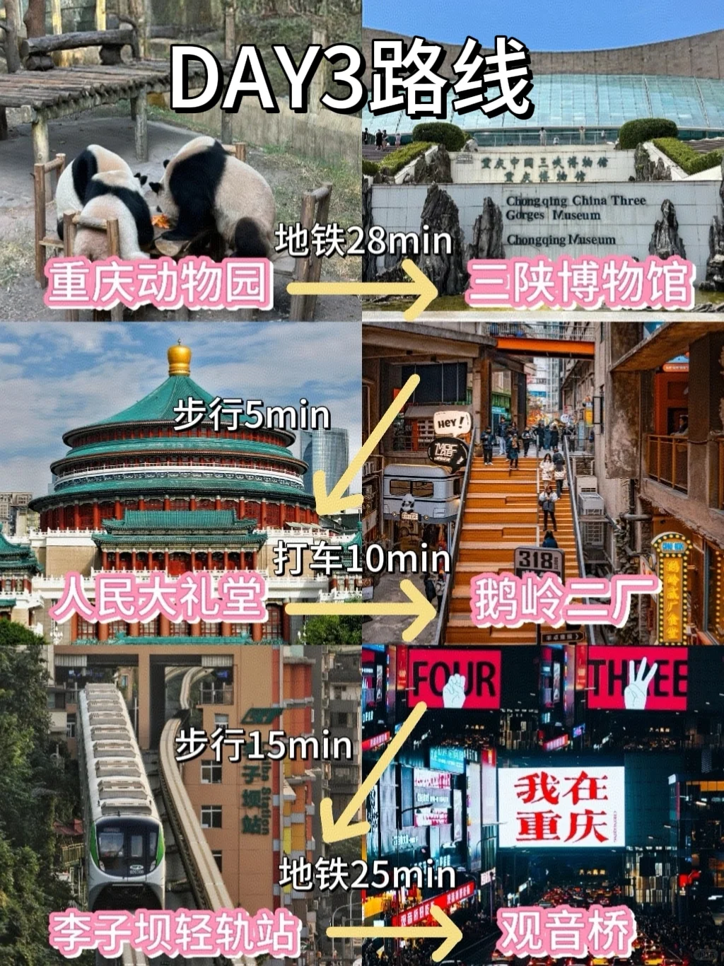 带2000去重庆😭结果花了3000…