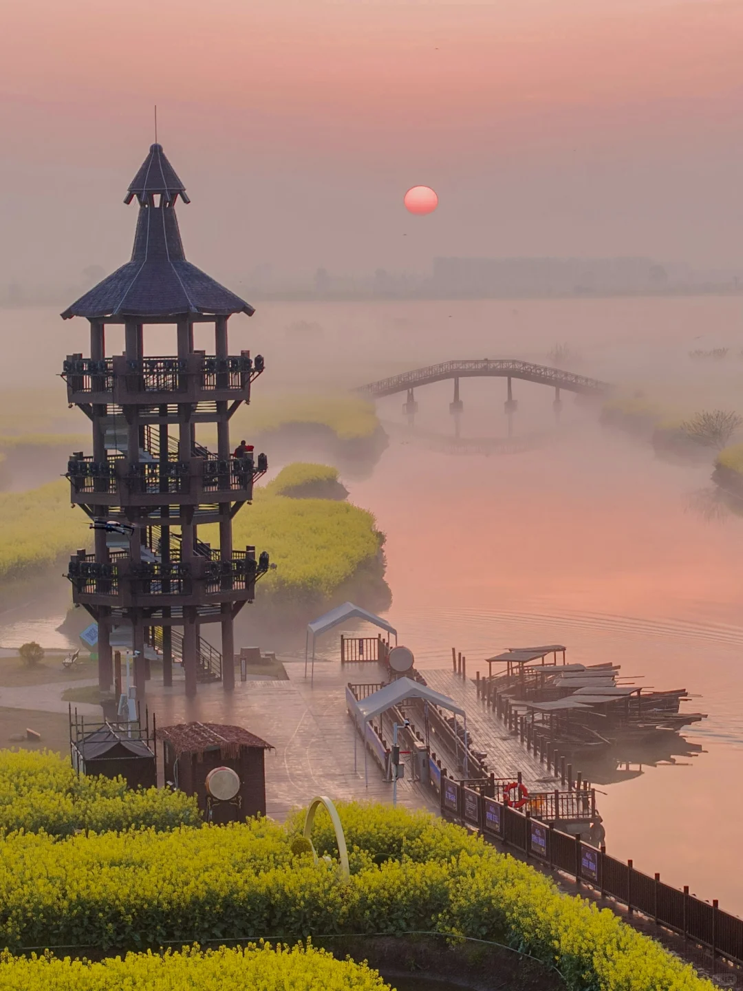 以为扬州真的已经够美了，直到我去了趟兴化